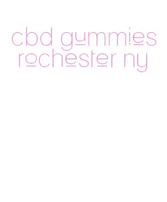 cbd gummies rochester ny