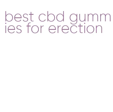 best cbd gummies for erection