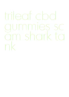 trileaf cbd gummies scam shark tank