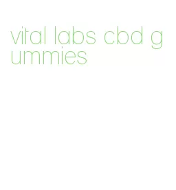 vital labs cbd gummies