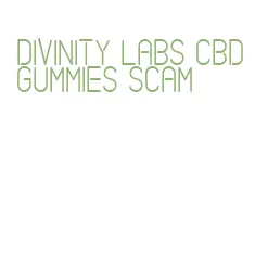 divinity labs cbd gummies scam