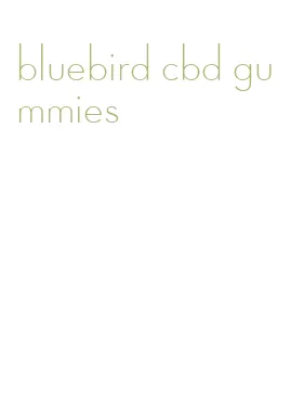 bluebird cbd gummies