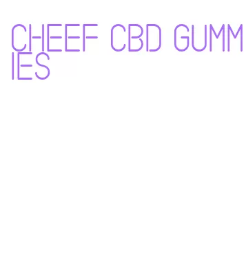 cheef cbd gummies