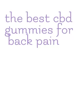 the best cbd gummies for back pain