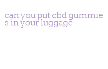 can you put cbd gummies in your luggage