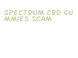 spectrum cbd gummies scam