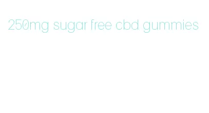 250mg sugar free cbd gummies