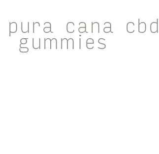 pura cana cbd gummies