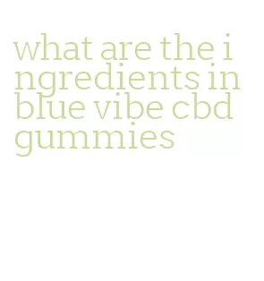 what are the ingredients in blue vibe cbd gummies