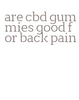 are cbd gummies good for back pain