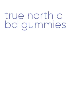 true north cbd gummies