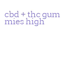 cbd + thc gummies high