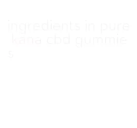 ingredients in pure kana cbd gummies