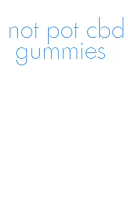 not pot cbd gummies