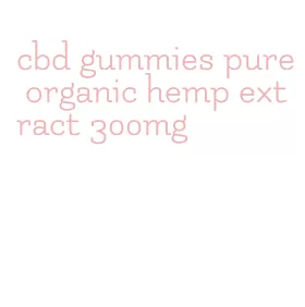 cbd gummies pure organic hemp extract 300mg