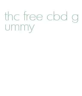 thc free cbd gummy