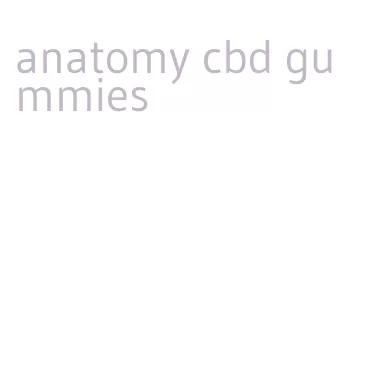 anatomy cbd gummies