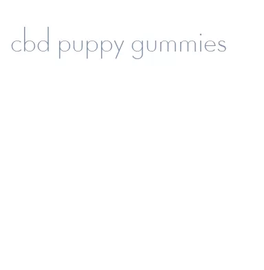 cbd puppy gummies