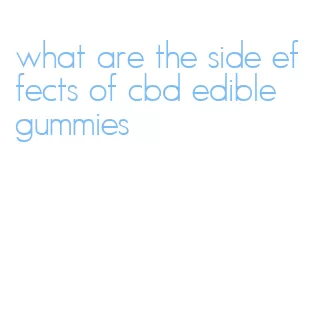 what are the side effects of cbd edible gummies