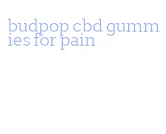 budpop cbd gummies for pain