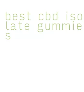 best cbd isolate gummies