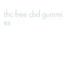 thc free cbd gummies