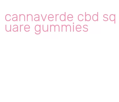 cannaverde cbd square gummies