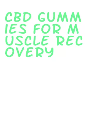 cbd gummies for muscle recovery