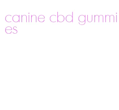 canine cbd gummies