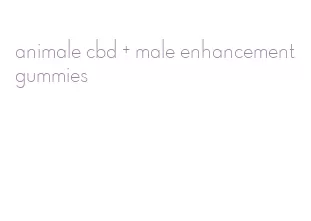 animale cbd + male enhancement gummies