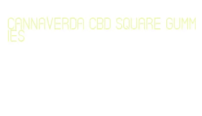 cannaverda cbd square gummies