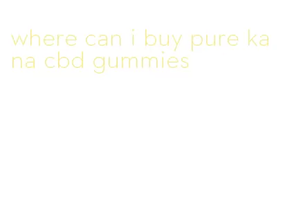 where can i buy pure kana cbd gummies