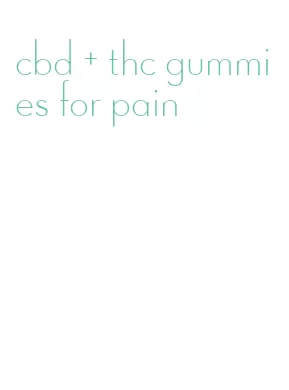 cbd + thc gummies for pain