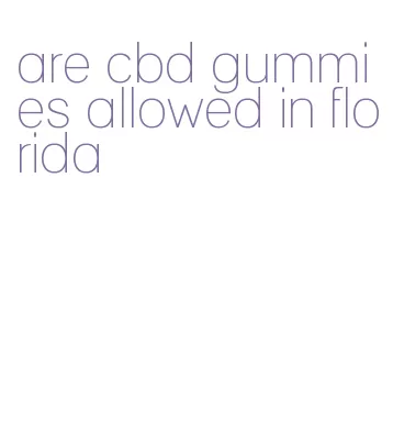 are cbd gummies allowed in florida