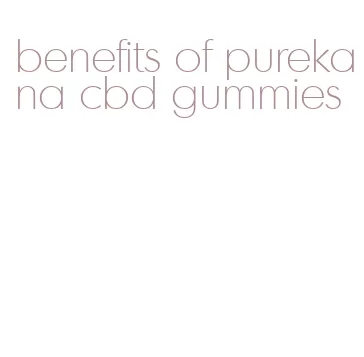 benefits of purekana cbd gummies