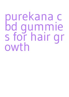 purekana cbd gummies for hair growth