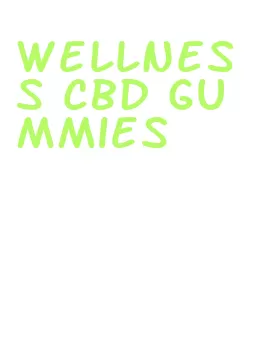 wellness cbd gummies