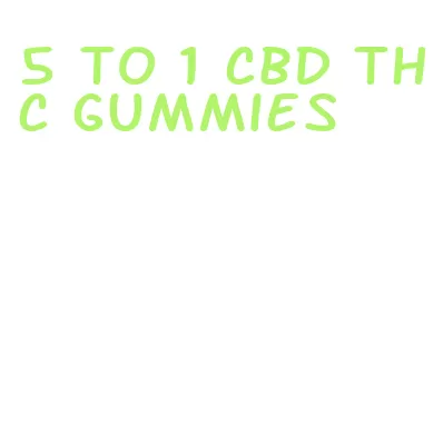 5 to 1 cbd thc gummies