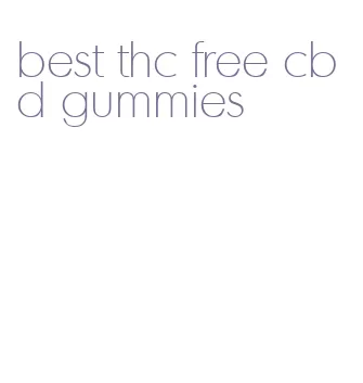 best thc free cbd gummies