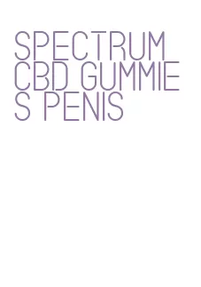 spectrum cbd gummies penis