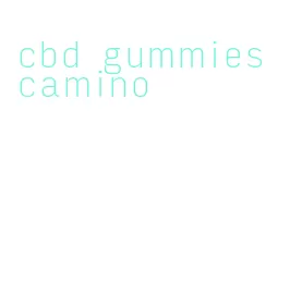 cbd gummies camino