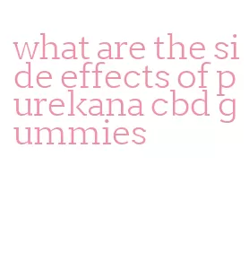 what are the side effects of purekana cbd gummies