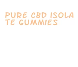 pure cbd isolate gummies