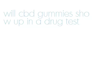 will cbd gummies show up in a drug test