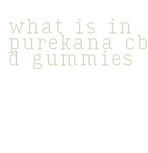 what is in purekana cbd gummies