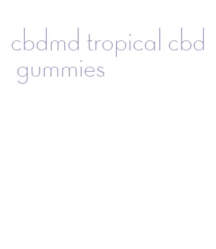 cbdmd tropical cbd gummies